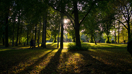 Naklejka premium Autumn park