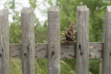 Alter Holzlattenzaun an einem Bauerngarten.