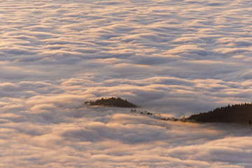 Blick von der Hornisgrinde im Schwarzwald in die Nebelbedeckte Rheinebene.