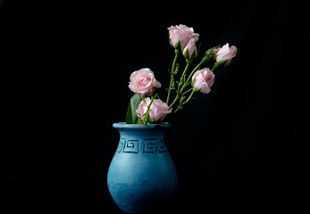 The beauty of this soft pink roses bold out within the dark background sitting in the blue vase.