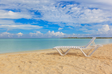 Fototapeta na wymiar Beach in the Caribbean and hammock.