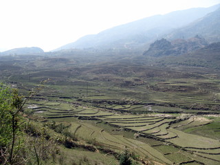 Naklejka premium Valley and rice fields in Sapa, Vietnam