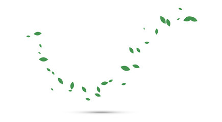 sfondo natura, foglie, primavera