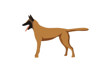 Silhouetted dogs. Belgian Shepherd Dog Malinois. Symbol 2018