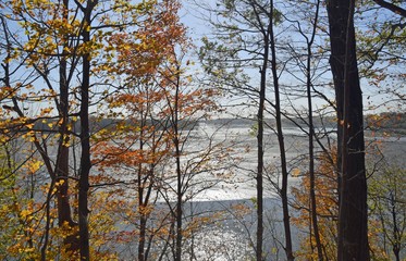 looking through trees in Autumn foliage towards a lake with the sun reflecting of the water 