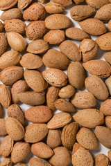 Group of sweet almonds