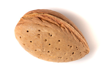 One sweet almond