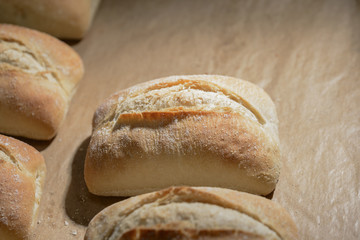 Freshly baked wheat flour with crispy crust on a baking tray