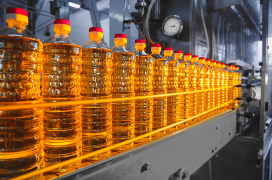 Oil in bottles. Industrial production of sunflower oil. Conveyor line for bottling and packing. Sunflower oil plant.
