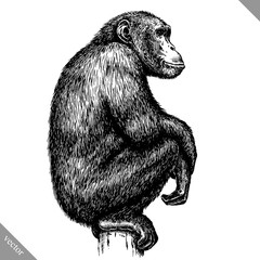 black and white engrave isolated monkey vector illustration - obrazy, fototapety, plakaty