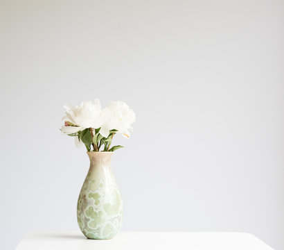 Fototapeta White peonies in green vase on table against grey background with copy space