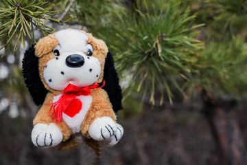 Plush dog is hanging on a pine branch. Year of the dog