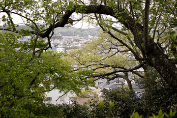 Japanese Houses