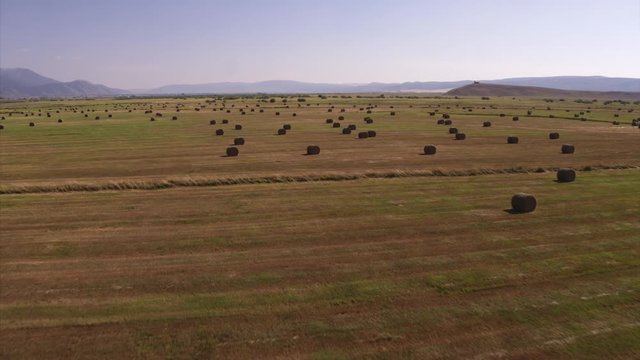 Aerial view of bales of rolled up hay in fields near mountains / Afton, Wyoming, United States