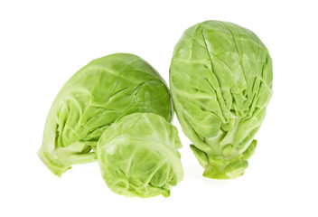 Fototapeta premium Fresh brussels sprouts isolated on a white background