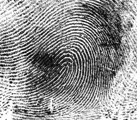 Fingerprint on white paper, as background