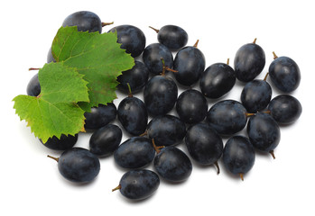 blue grapes berries with leaves isolated on white. top view