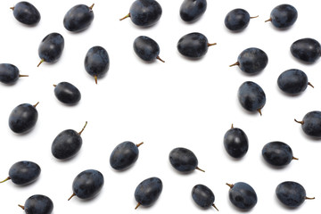 blue grapes berries isolated on white. top view