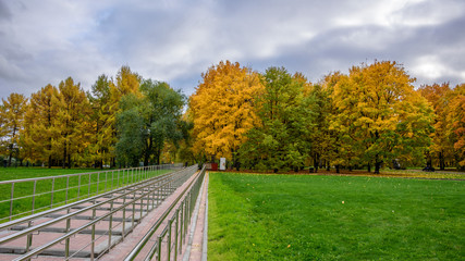 View of colorful alley with bright green and yellow trees, green lawn with dry autumn leaves on it, staircase with handrails and overcast sky in the park at autumn cold day in Moscow city, Russia