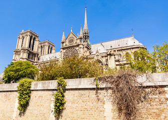 Obraz premium Notre Dame de Paris Catholic Christian Cathedral with the Seine river on a sunny spring day. View from the water. Paris