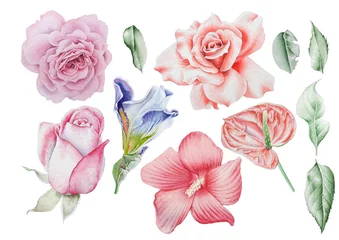 Papier Peint photo Des roses Sertie de fleurs à l& 39 aquarelle. Rose. Iris. Hibiscus. Feuilles.