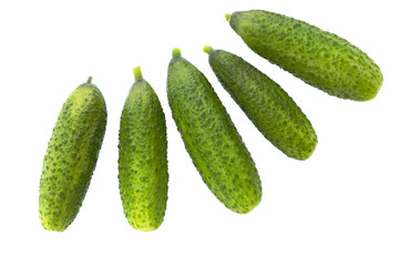 Cucumber.  Pickled cucumber isolated on white.