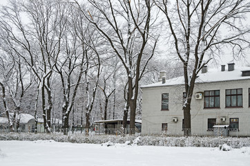 Winter in City Garden