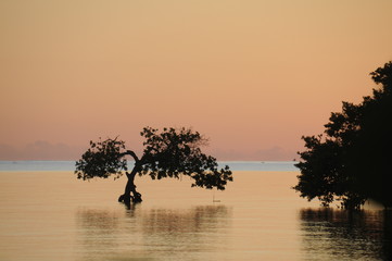 Serene sunset in the "Keys" Florida