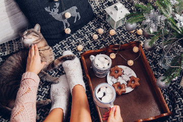 Woman holds a cup of chocolate under the Christmas tree while playing with her cat