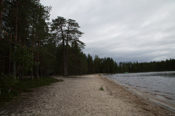 Obraz premium Beach at the lake Suomunjärvi, Patvinsuo National Park, summer 