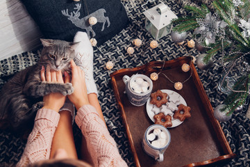 Woman holds a cup of chocolate under the Christmas tree while playing with her cat