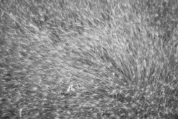 Cracks on the Earth9