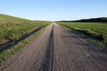 Fototapeta na wymiar Low angle view of a rural dirt road