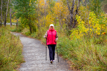 Senior lady nordic walking