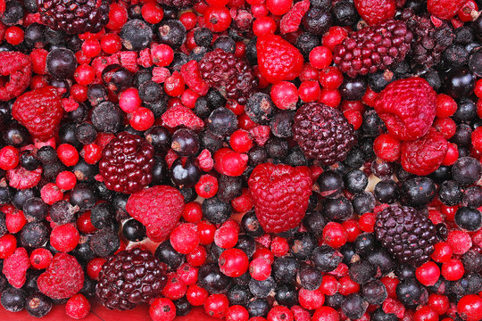 Frozen mixed berries as background. Blueberries,raspberries black berries and currant mulberry texture pattern. Berries.
