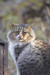 Last days of november 2017