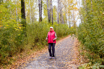 Senior lady nordic walking