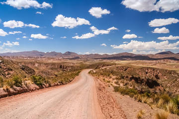 Fototapeta na wymiar Road through bolivian wilderness