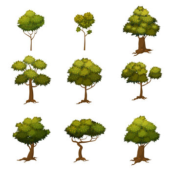 Set of different cartoon style trees, vector illustration