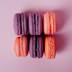 Sweet holiday present. Box of colorful cookies.