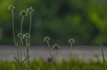 An der Bushaltestelle