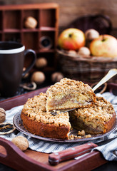 Piece of fresh homemade apple and cinnamon crumb coffee cake