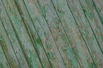 серо зелёная деревянная текстура из мокрых и старых досок забора
