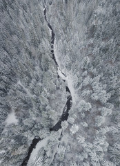 Winter landscape from air. Forest and river in the winter mountain valley