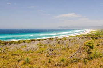 The Friendly Beaches in the Freycinet National Park is a popular place for fishing and surfing - Coles Bay, Tasmania, Australia