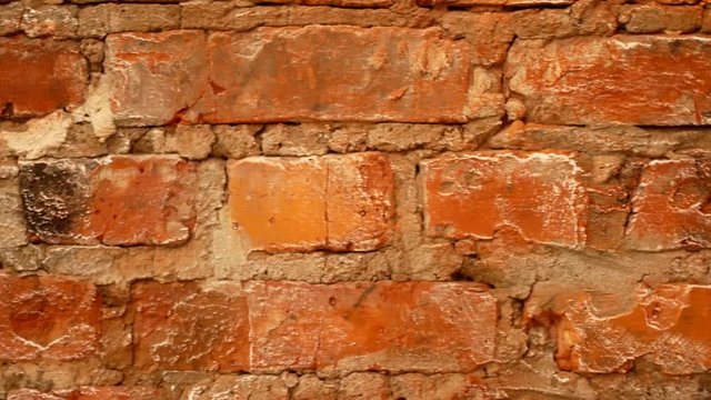 Wall of red brick. Video for the background