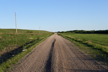 Rural dirt road with electricity poles
