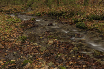 Bansky creek in autumn morning near Spania Dolina - obrazy, fototapety, plakaty
