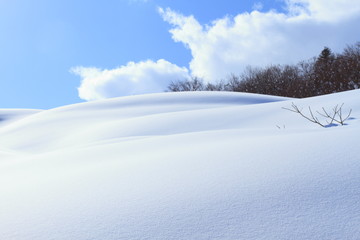 雪景色　Snowscape in Japan / Tsuruoka, Yamagata, Japan