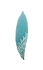 Light Green Skeleton Litchi Tree Leaf isolated with white artistic stripes